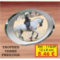 TROPHEE VERRE PRESTIGE PERSONNALISE : REF. 11G2P - 12 x 8 CM